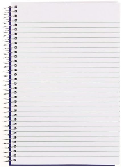 Blueline Steno Pad/Note Pad, Spiral Binding with Flexible Blue Cover, 9 x 6 x 0.813 Inches, 360 Pages (AT35B)