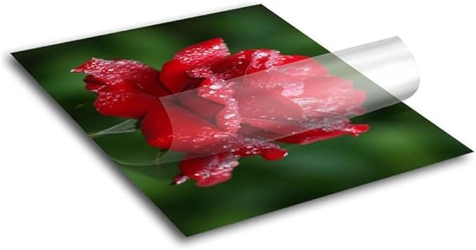 Frisco Craft Transparent Self Adhesive Laminating Roll - Self Laminating Sheets - Clear Vinyl for Decals, Sticker, & More - No Heat Sealing, Glossy, Clear Sheets (12" x 6 ft)