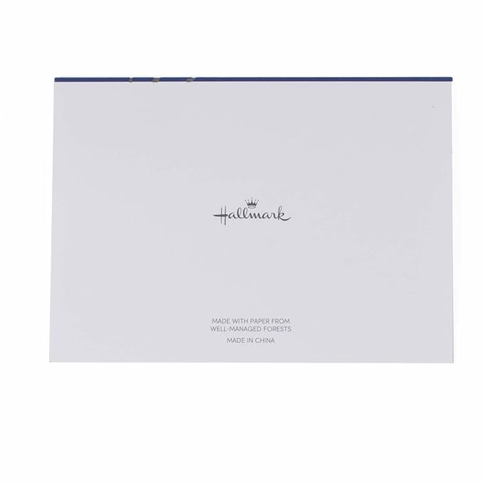 Hallmark Thank You Notes (Silver Foil Script, 40 Cards and Envelopes)