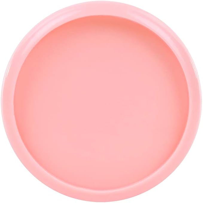 Talia Discbound Notebook - Discs (Salmon, 1Inch)