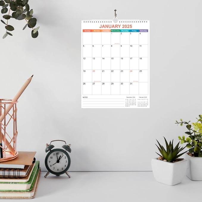 2025 Calendar - Wall Calendar 2025 from January 2025 - December 2025, 12 Months Calendar with Twin-Wire Binding & Hanging Hook, 8.5" x 11", Vertical Calendar, Colorful