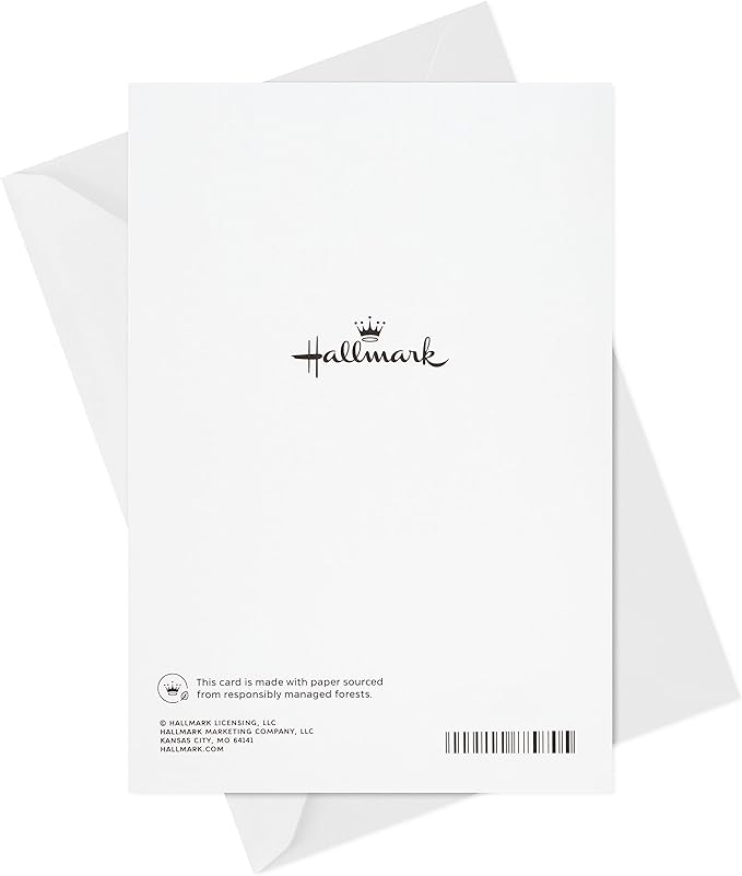 Hallmark Sympathy Card from Both or From All (Our Hearts Are With You) (5RZB2133)