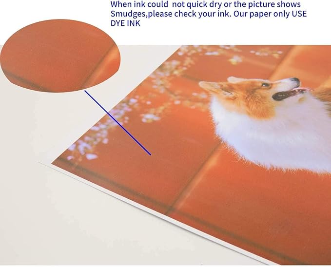 Koala Double Side Thin Glossy Photo Paper 11x17 Inches 120gsm 100 Sheets Compatible with Inkjet Printer and Dye Ink 32LB