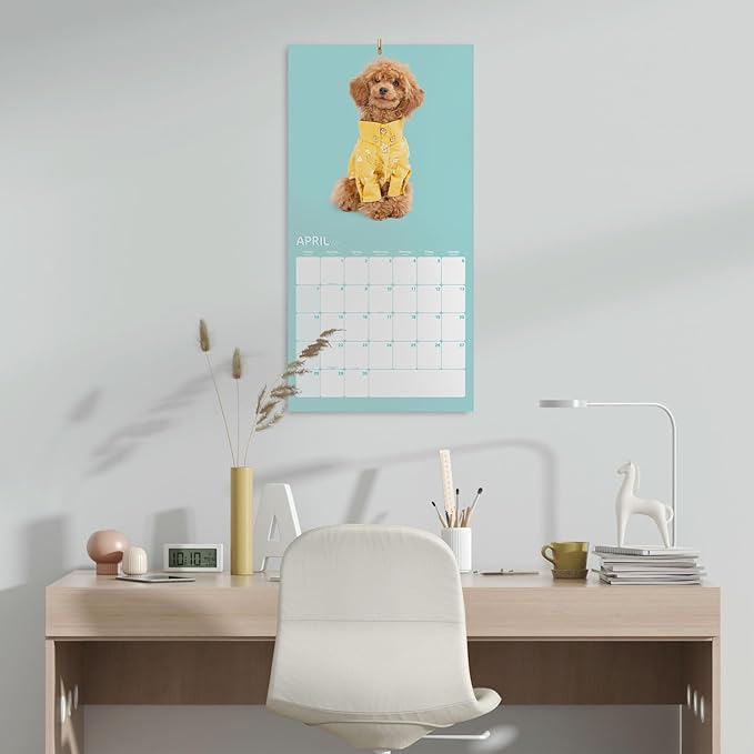 Official Studio Pets Dogs Wall Calendar 2024 12" x 12" FSC® Plastic Free - Starts Week On Sunday | 12 Month Planner | Square Wall Calendar 2024 | Family Planner Calendar 2024 | Poodle Calendar 2024 |