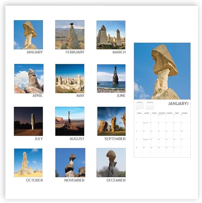 Wall Calendar 2025, 12 x 12 inch, Funny Gift, White Elephant, Gag Gift, Secret Santa… (Nature's Dicks)