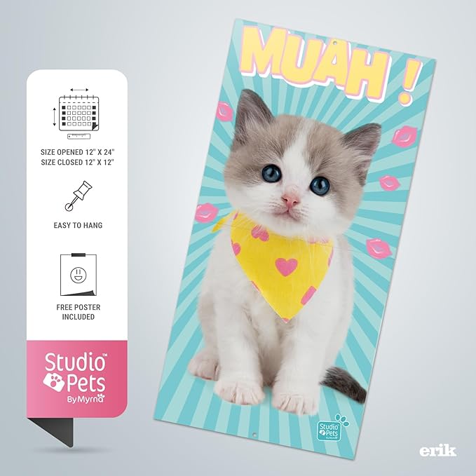 Kittens Wall Calendar 2025 12" x 12" FSC® Plastic Free - Starts Week On Sunday | Square Wall Calendar | Family Planner Calendar 2025 | Cat Calendar 2025