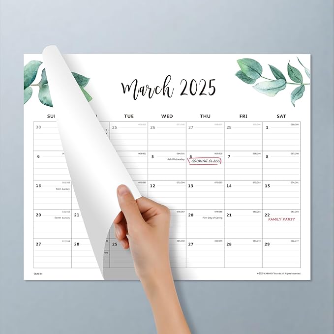 Cabbrix Magnetic Desk Calendar 2024-2025, Aesthetic Refrigerator Calendar 15 x 12 Inch Runs From Now to Dec 2025, Desk Blotter Calendar for Home School and Office(Green Leaf)