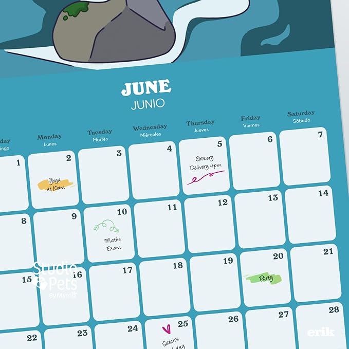 Ketnipz Wall Calendar 2025 12" x 12" FSC® Plastic Free - Starts Week On Sunday | Square Wall Calendar | Family Planner Calendar 2025 | Ketnipz Calendar 2025