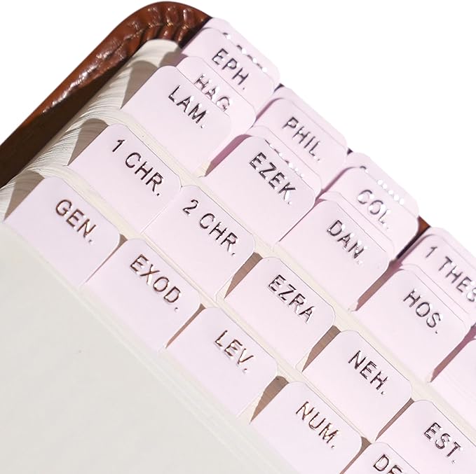 Idyllic Grace - Mini Bible Tabs, Embossed Gold Foil, Journaling, Small Bibles, Study Tool, 90 Tabs, Old and New Testament, Christian, Catholic, Apocrypha, Index Tabs, Matte Laminated - Mini Blushing