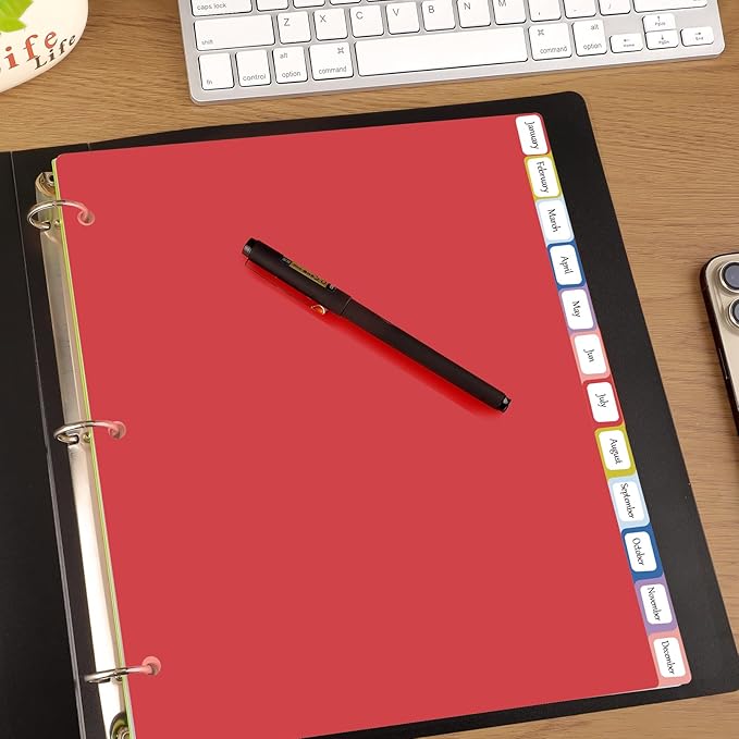 HABGP 12 Tab Dividers for 3 Ring Binder, 12 Pcs Multicolor 3 Ring Binder Dividers with Tabs, Page Folder Dividers, Plastic Tabbed File Dividers with Tabs, Three Ring Binder Index Dividers, 1 Set