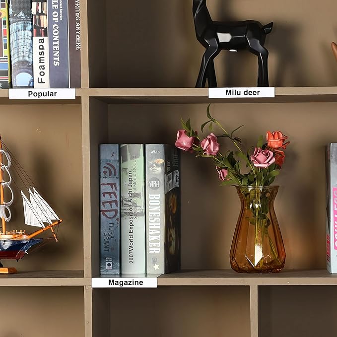 Containlol 15 Pieces Moveable Shelf Label Holders Clear Shelves Tags Library Markers Transparent Display Holder for Classroom Office Book (9.06 x 5.12 0.79 Inch)