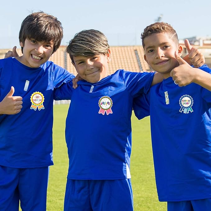 Reward Stickers Badge Designs,2.4×1.8 Inch Reward Labels Use on Classroom,Outdoor Sports Game,Party,Home,Encourage Stickers(264pcs,1bag)