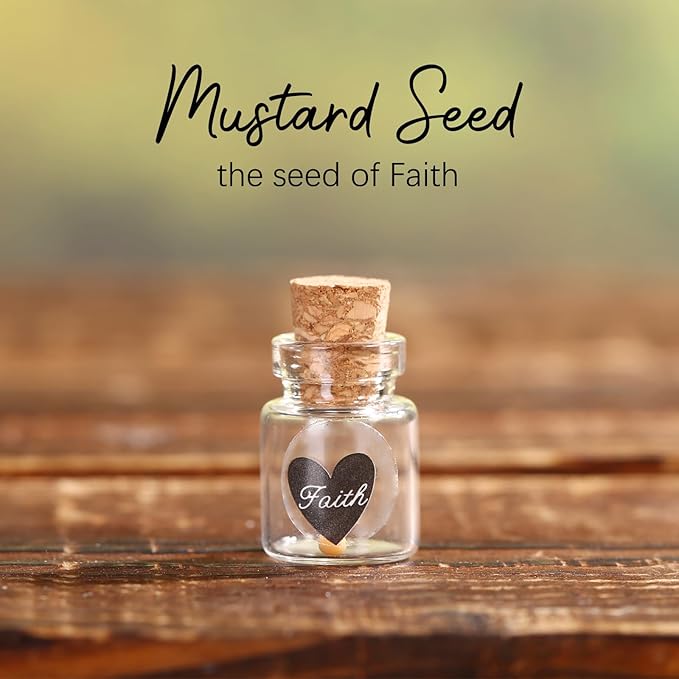 Bulk 30 Have a Little Faith Card Christian Gifts for Women, School Church Wedding Baptism Unique Christian Religious Inspirational Gifts for Women Men (1ml-30pcs)