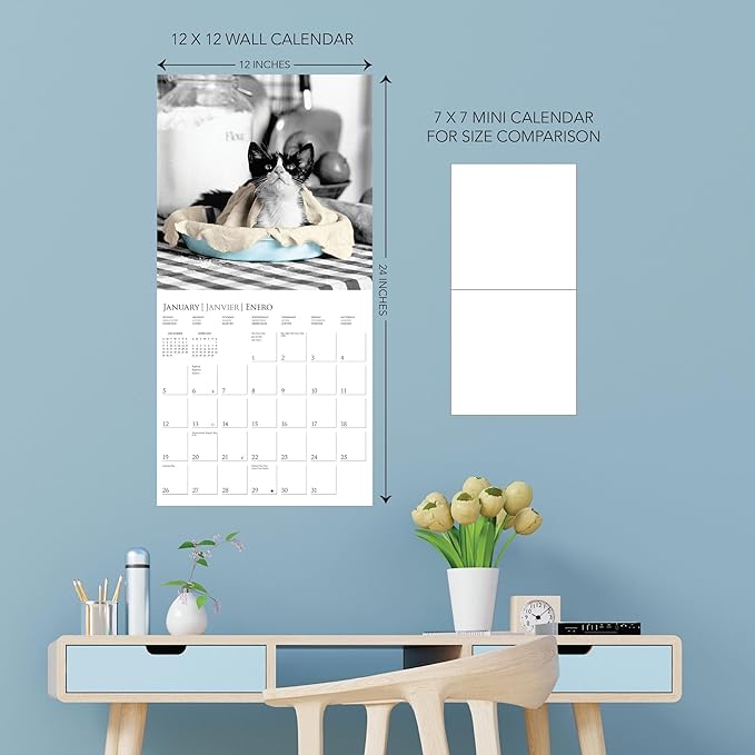 Graphique 2025 Classic Cats Wall Calendar | 12” x 12” | Thick Paper | Home & Office Organizer | Large Monthly Grid | 3 Languages & Marked Holidays | 4 Month Preview Page for 2026