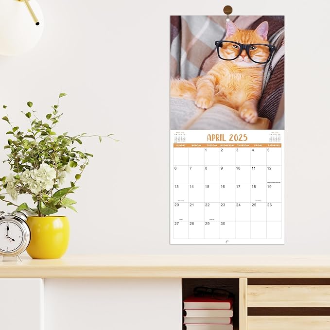 2025 Wall Calendar - January 2025 - December 2025, Funny Cat Calendar 2025, Wall Calendar Gag Gift, Funny Cat Memes Pics, 12'' x 24'' (Open), Funny Cat Calendar, Unruled Block, Hanging Hole, Holidays