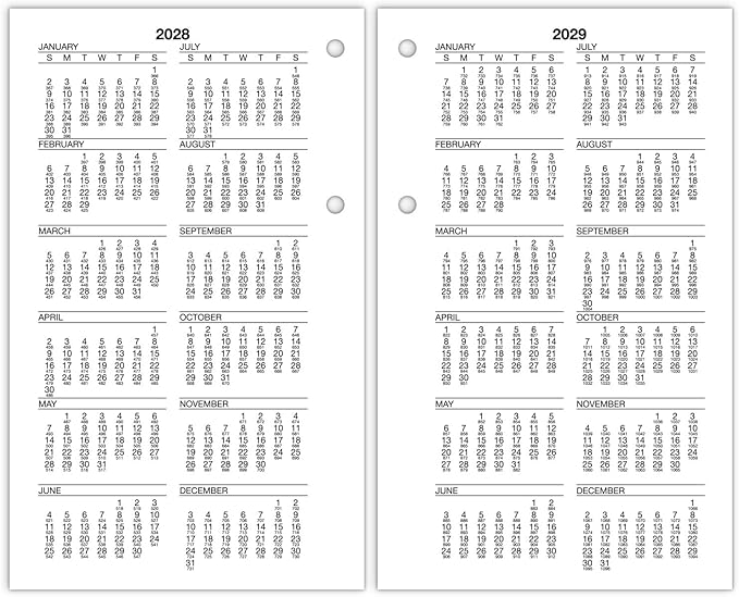 AT-A-GLANCE 2025 Desk Calendar Refill, Daily, 4-1/2" x 7-1/2", Large, Loose-Leaf, Burkhart's Day Counter (E7125025)