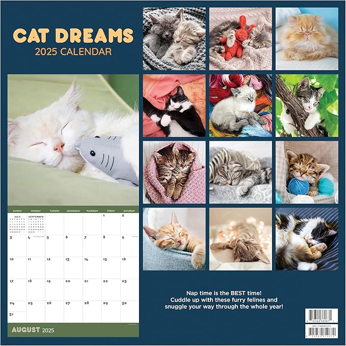 TF PUBLISHING 2025 Cat Dreams Wall Calendar - Large Grids for Appointments and Scheduling - Vertical Monthly Wall Calendar 2025 - Home and Office Organization - Premium Gloss Paper - 12"x12”