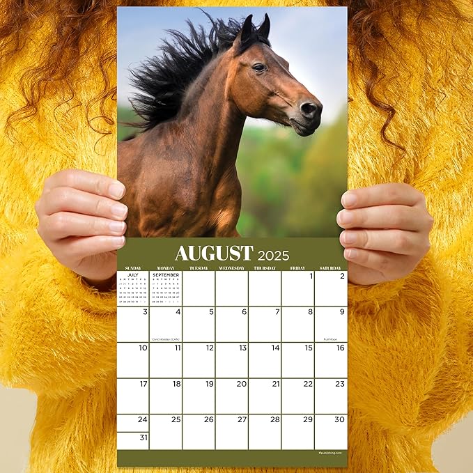 TF PUBLISHING 2025 Horses Mini Calendar - Large Grids for Appointments and Scheduling - Vertical Monthly Wall Calendar 2025 - Home and Office Organization - Premium Thick Gloss Paper - 7"x7"