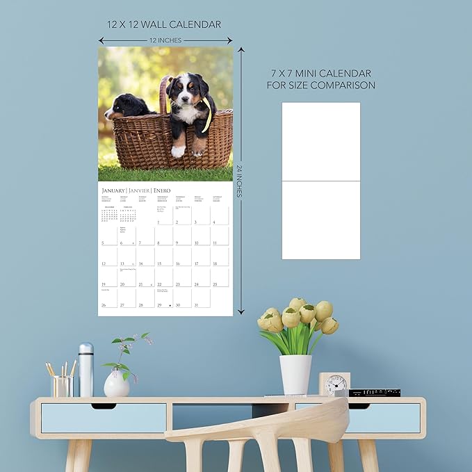 Graphique 2025 Puppy Love Wall Calendar | 12” x 12” | Thick Paper | Home & Office Organizer | Large Monthly Grid | 3 Languages & Marked Holidays | 4 Month Preview Page for 2026