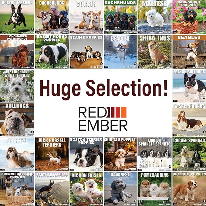 RED EMBER Basset Hounds 2025 Wall Calendar 12 Month | 12" x 24" Open | Thick & Sturdy Paper | Giftable | Calendar 2025
