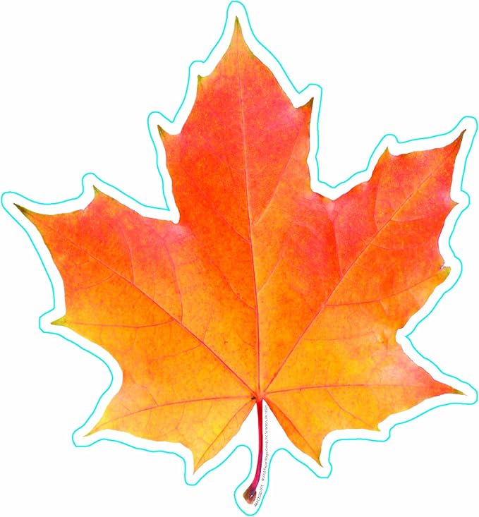 Eureka Photo Image of A Fall Leaf, 5" Paper Cut-Outs, Package of 36