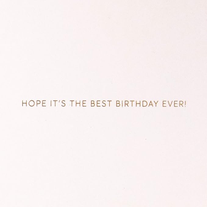 Hallmark Signature Birthday Cards (Big Birthday Wishes & Best Birthday Ever) - Premium Greetings