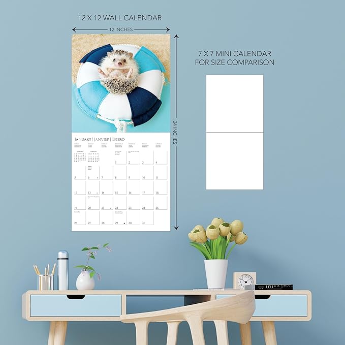 Graphique 2025 Happiest Hedgehogs Wall Calendar | 12” x 12” | Thick Paper | Home & Office Organizer | Large Monthly Grid | 3 Languages & Marked Holidays | 4 Month Preview Page for 2026