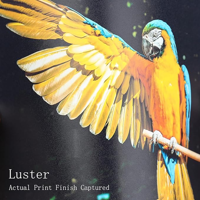 Koala Premium Photo Paper 4x6 Inch Luster Finish, Soft Gloss 66lb Water-resistant, for Inkjet Printer 100 Sheets