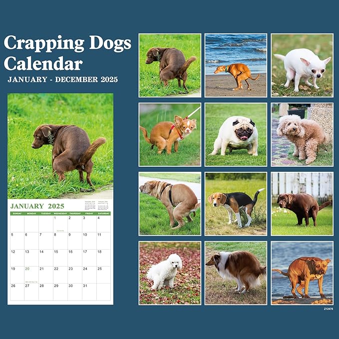 Gag Gifts - Pooping Dogs Calendar, 2025 Wall Calendar from January 2025 to December 2025, Funny Dogs Calendar, Funny Gag Gifts for Family, Friends, 11.8'' x 11.8''