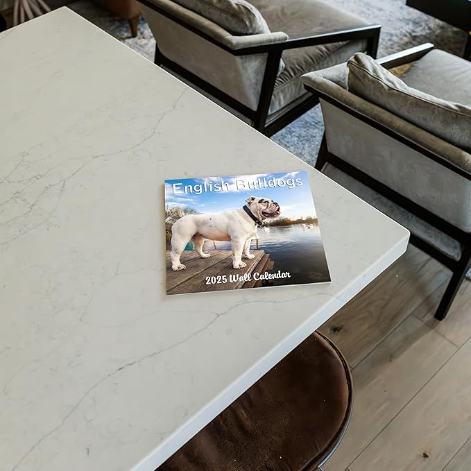 2025 English Bulldogs Monthly Wall Calendar | 12" x 24" | Thick Sturdy Paper | Dog Calendar 2024-2025