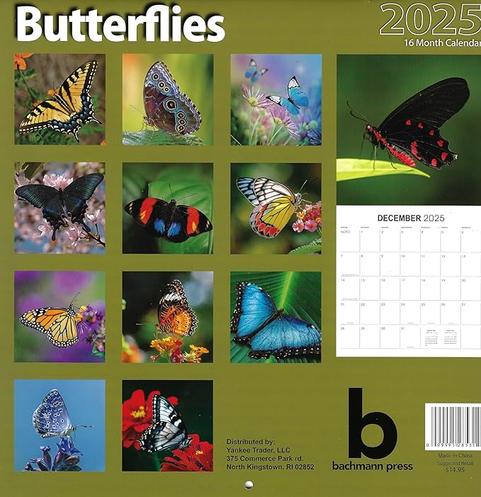 Bachmann Press 2025 Butterflies Full Size Wall Calendar for Planning, Scheduling, and Organizing