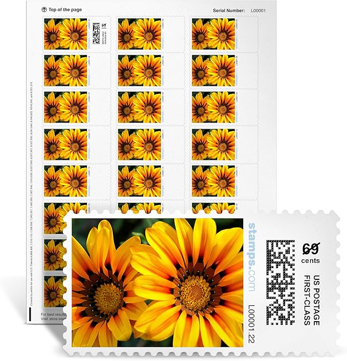 Treasure Flowers NetStamps 120-Pack (5 Sheets) Printable Postage Labels (Stamps.com Subscription Required) - Print Approved Postage - Inkjet & Laser Printers - Business, Personal, Home