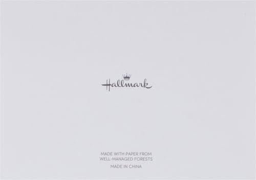 Hallmark Thank You Notes (Silver Foil Script, 40 Cards and Envelopes)