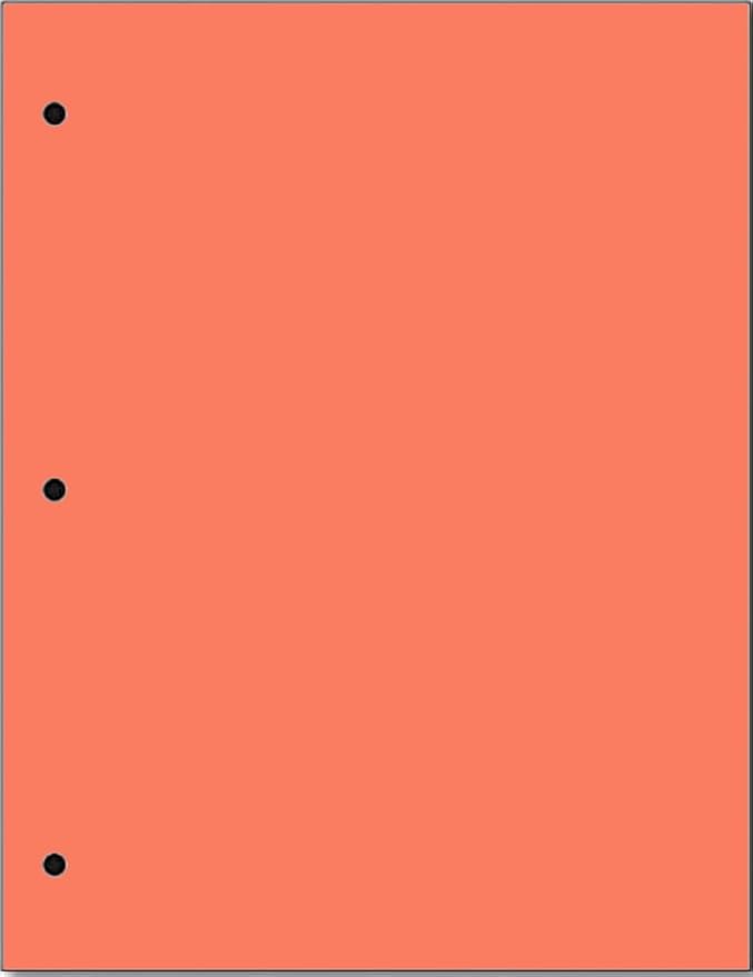 Copy And Printing Color Paper, 20 Lb. 3 Hole Punch 500 Sheets Per Ream. (Salmon)