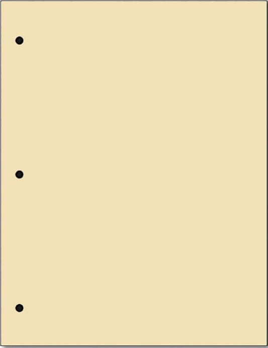 Copy And Printing Color Paper, 20 Lb. 3 Hole Punch 500 Sheets Per Ream. (Tan)