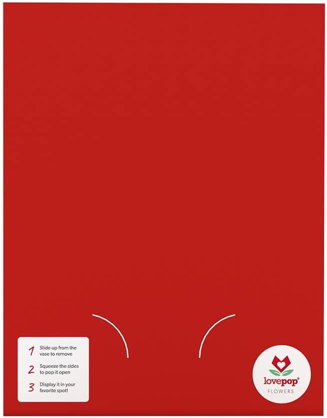 Lovepop Watercolor Roses and Butterflies - Pop Up Paper Flower Bouquet - Everyday Bouquet - 10.25' Premium Display 3D Pop Up - Notecard Included