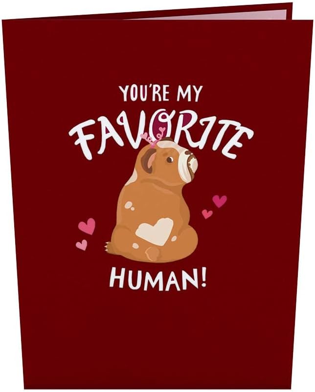 Lovepop Everyday Pop-Up Card for Her, Him, Girls, Boys - 3D Love Greeting Cards - Favorite Human - 5" x 7" - Blank Note Card & Envelope Included