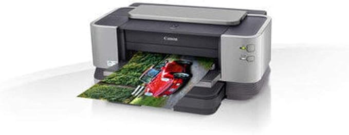 Canon 2768B018 Photo Paper Pro Platinum, 13 x 19 Inches, 10 Sheets