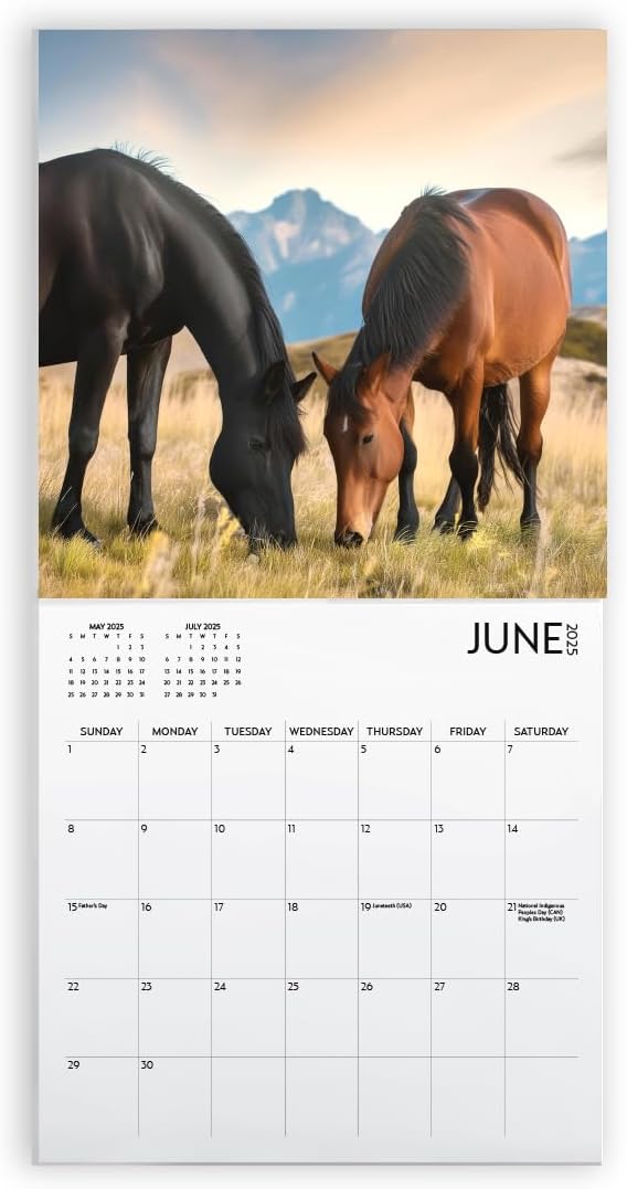 Horses Calendar 2025 with Sticker Pack, Large 12 x 12 inch, Horse Wall Calendar with Sticker Set, Gift for Horse Lovers, Cute Calendar for girls