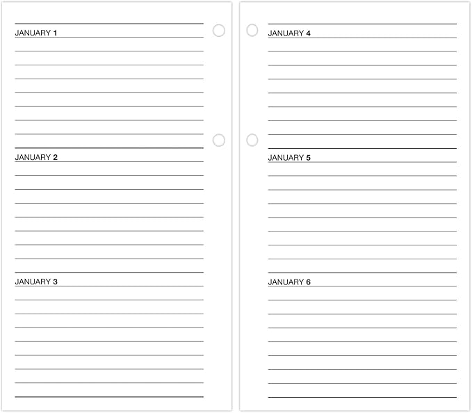 AT-A-GLANCE 2025 Desk Calendar Refill, Daily, 4-1/2" x 8", Large, Loose-Leaf (E2105025)