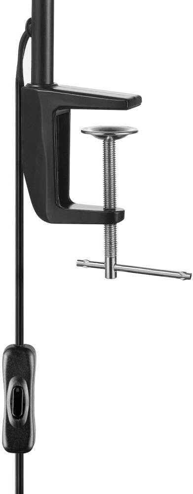 Globe Electric 52900 Lex Desk Lamp, Black with Gold