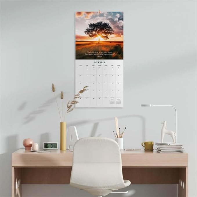 Zen Nature Wall Calendar 2025 12" x 12" FSC® Plastic Free - Starts Week On Sunday | Square Wall Calendar | Family Planner Calendar 2025 | Nature Calendar 2025