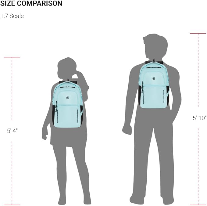 SwissGear Versa, Clear Sky, 17.75-Inch