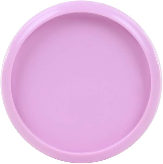 Talia Discbound Notebook - Discs (Spring Pink, 1Inch)