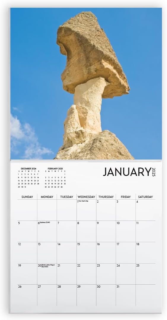 Wall Calendar 2025, 12 x 12 inch, Funny Gift, White Elephant, Gag Gift, Secret Santa… (Nature's Dicks)
