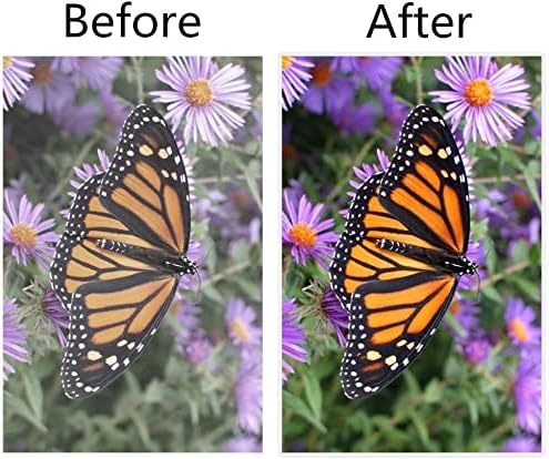 RyhamPaper Thermal Laminating Pouches, Laminating Sheets 9 x 11.5 Inches Letter Size 3 mil, 100 Pack Laminator Sheets for Sealed Document, Cards, Clear Laminated Finish, Round Corner, Waterproof