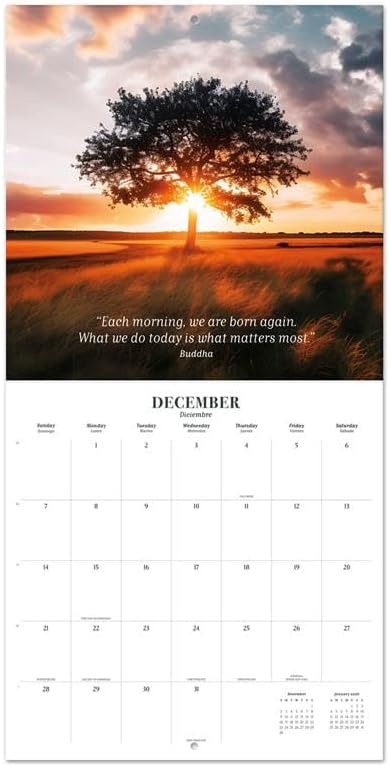 Zen Nature Wall Calendar 2025 12" x 12" FSC® Plastic Free - Starts Week On Sunday | Square Wall Calendar | Family Planner Calendar 2025 | Nature Calendar 2025