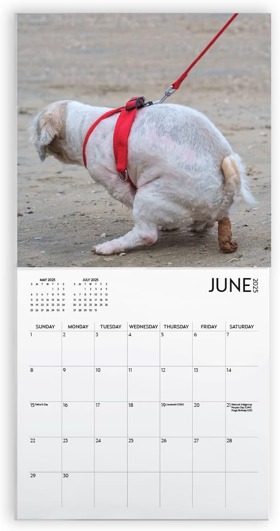Dog Pooping Calendar 2025, 12 x 12 inch, Funny Gift, White Elephant, Gag Gift, Secret Santa