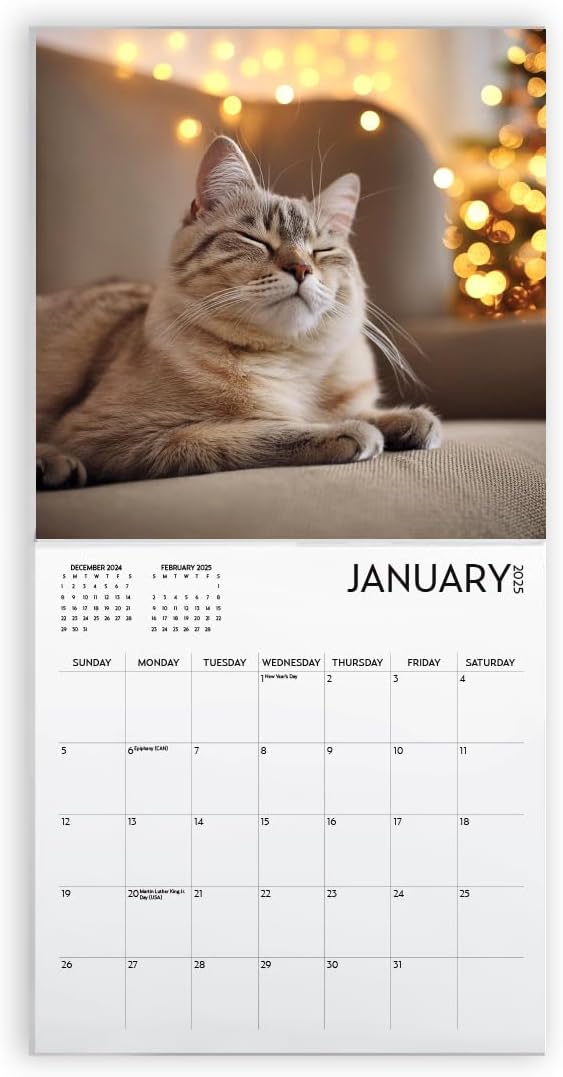 Cat Calendar 2025 with Sticker Pack, Kitten Square Large Wall Calendar 12 x 12 inch, Yearly Cat Lover's Calendar and Sticker Set