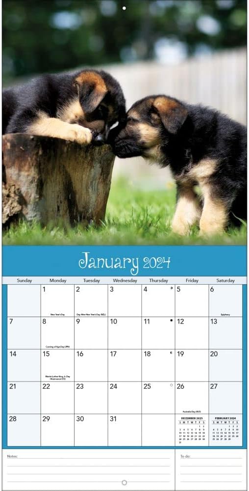 TURNER PHOTOGRAPHIC Playful Puppies 12X12 Photo Wall Calendar (24998940045)